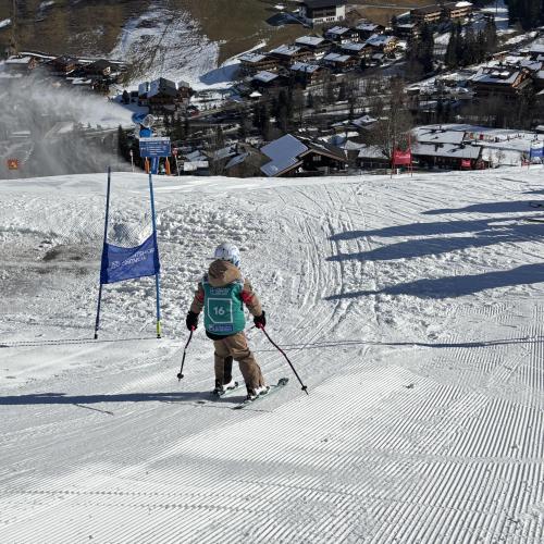 Ski2