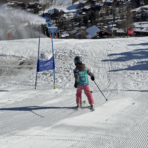 Ski1