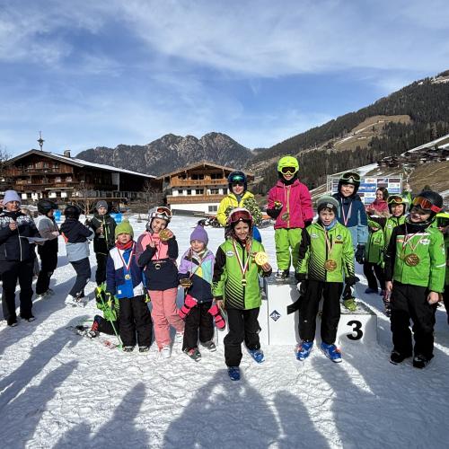 Ski12