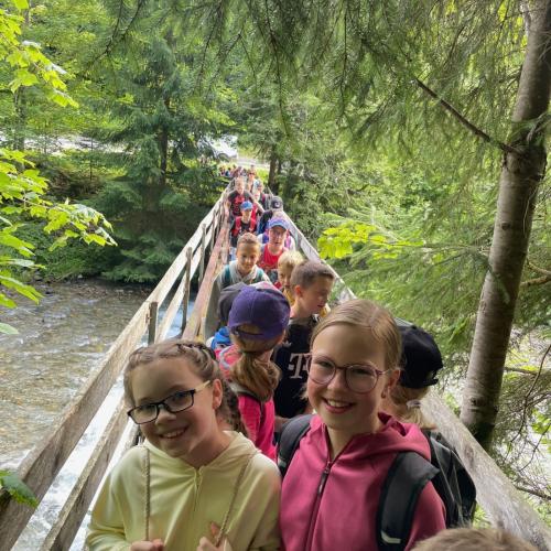 Auf Entdeckungstour im Wald