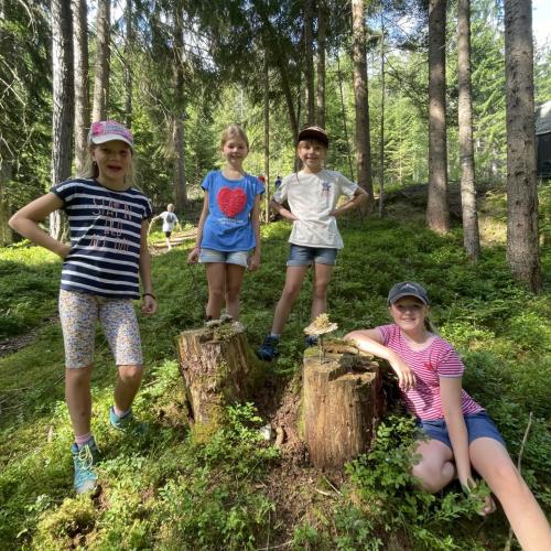 Auf Entdeckungstour im Wald