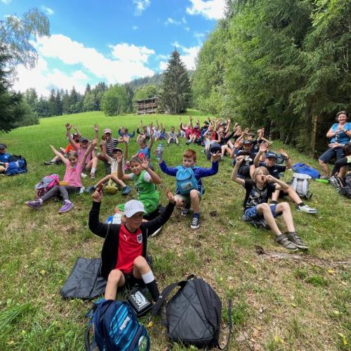 Auf Entdeckungstour im Wald