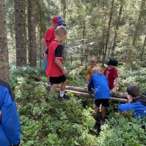 Auf Entdeckungstour im Wald