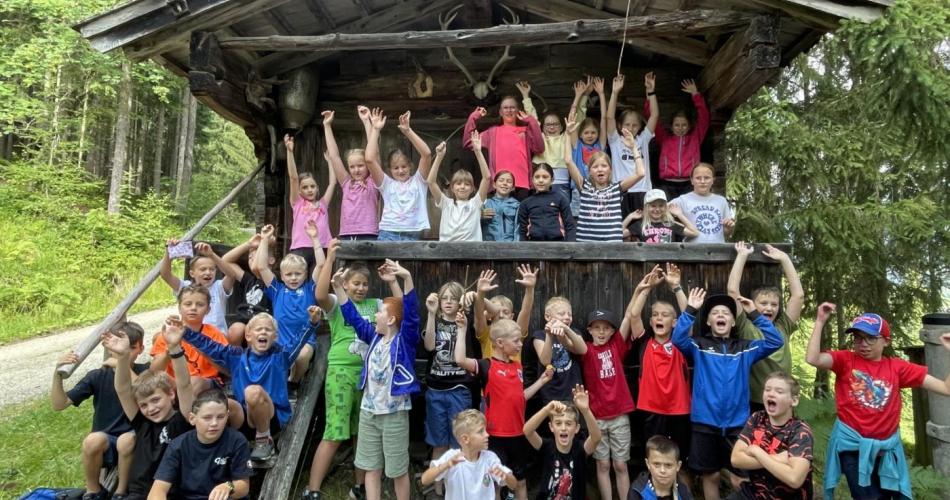 Auf Entdeckungstour im Wald
