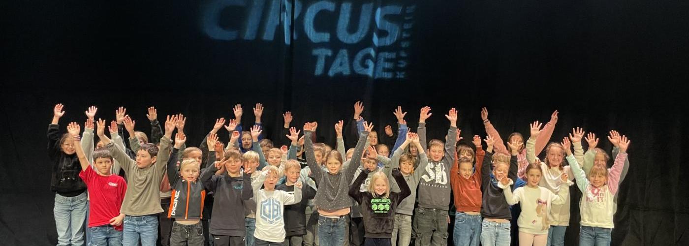 Circustage