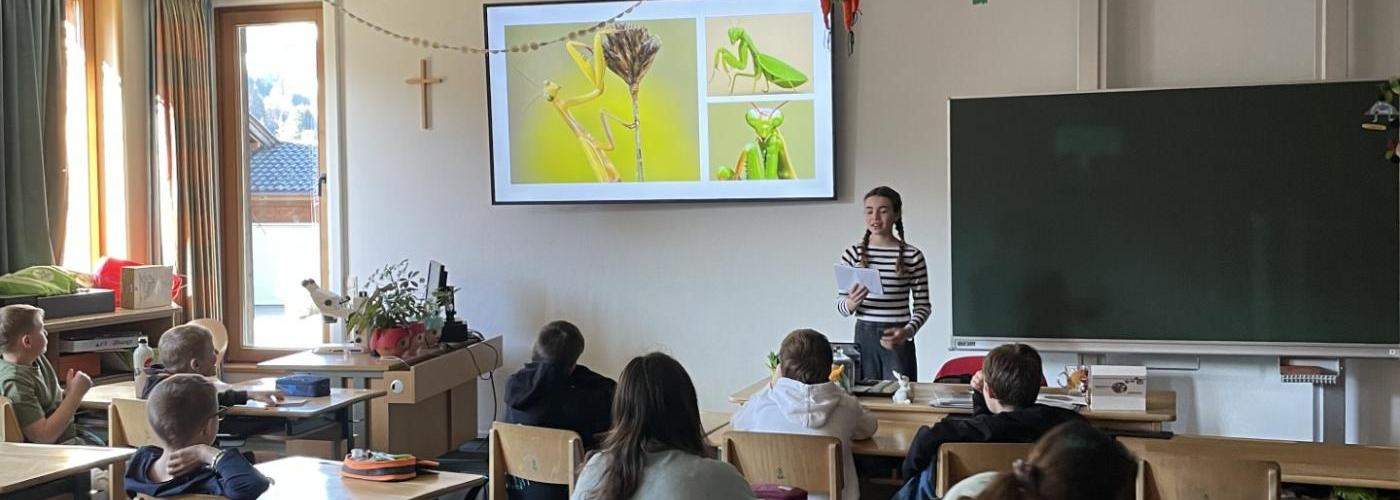 Mittelschule