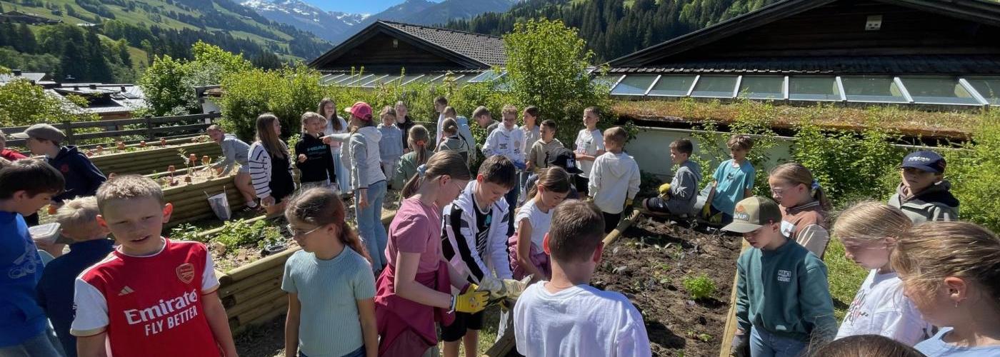 Warten, pflegen, staunen und genießen!