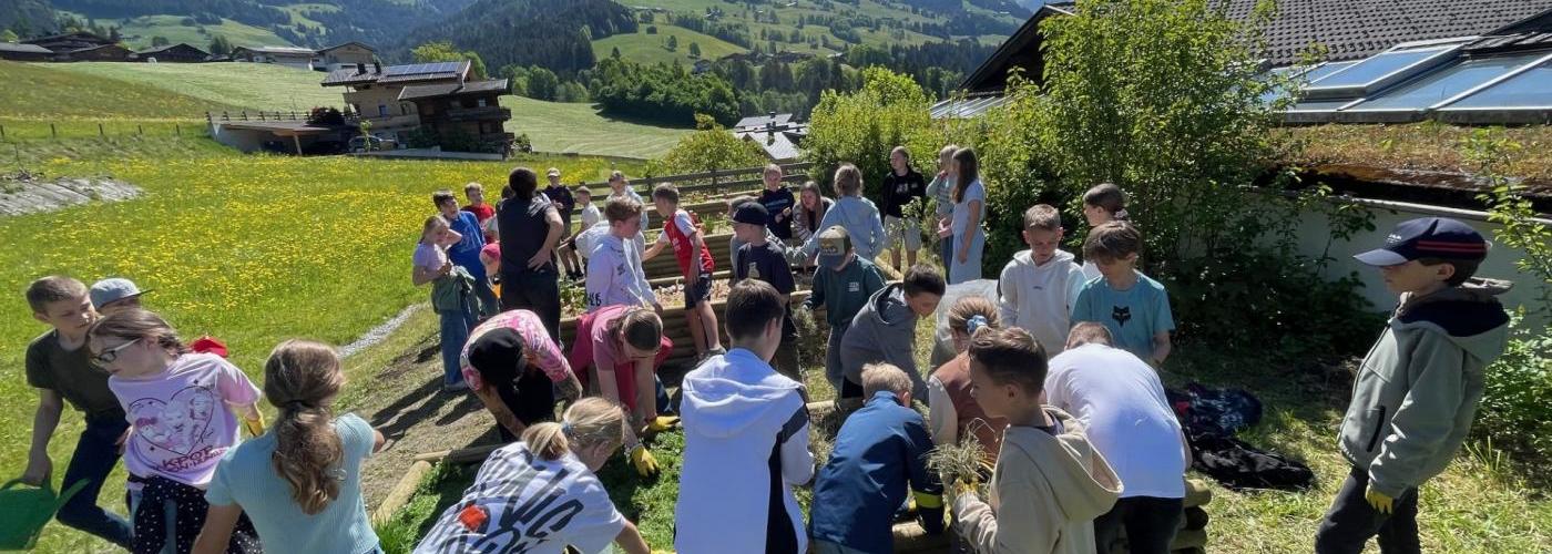 Warten, pflegen, staunen und genießen!